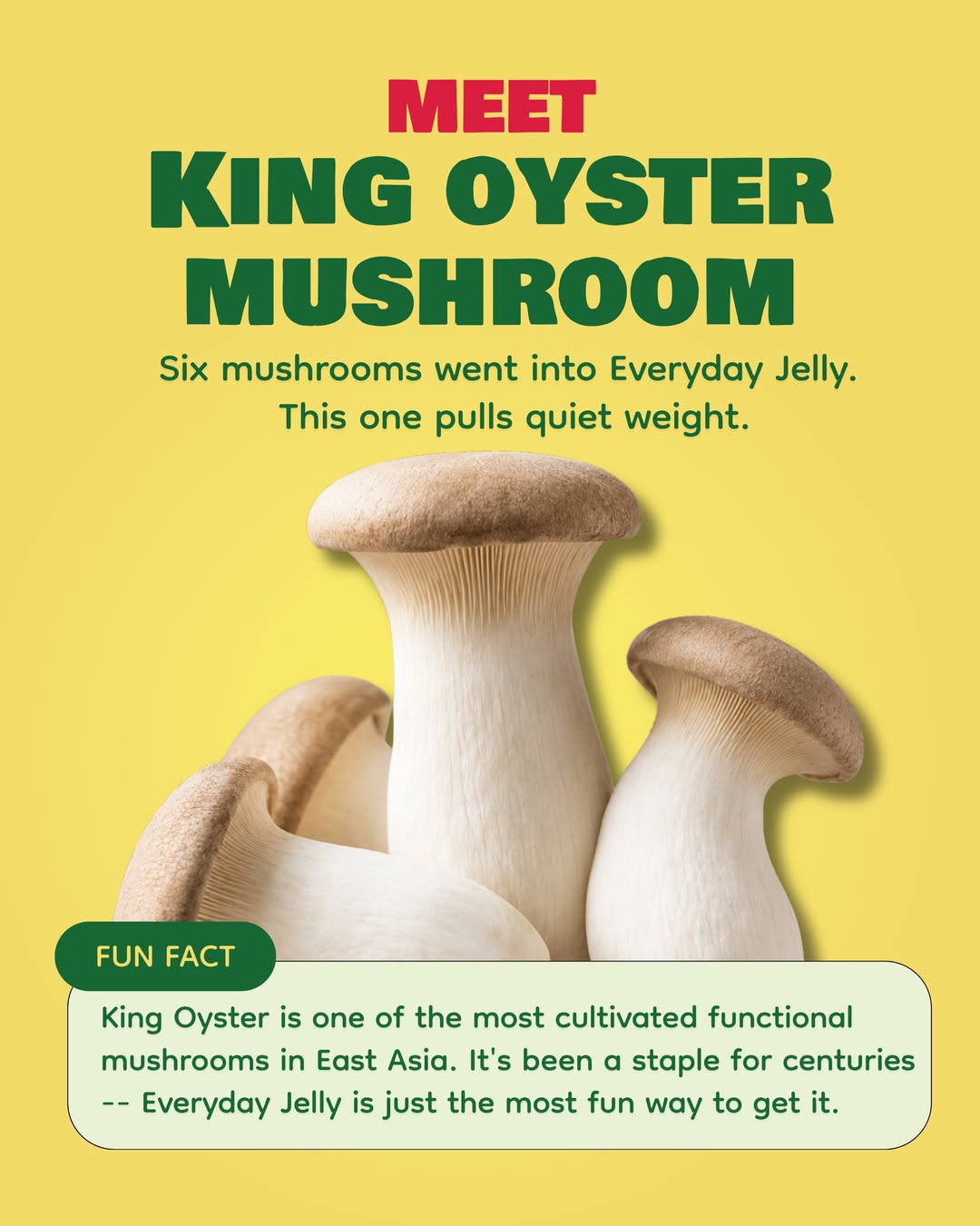 Meet the king oyster mushroom, one of six mushrooms in Everyday Jelly